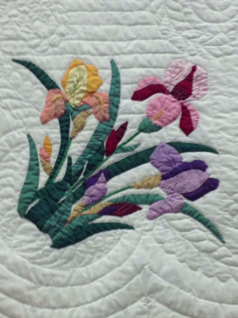 Iris Quilt Quilts Quilt Blocks Blanket